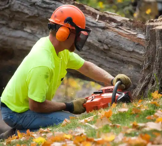 tree services Calabash